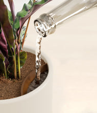 Load image into Gallery viewer, Peach Blossom stand:all
