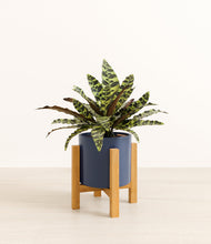 Load image into Gallery viewer, Deep Navy stand:light
