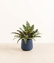 Load image into Gallery viewer, Deep Navy*****Profile
