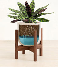 Load image into Gallery viewer, Snowdrift White stand:bamboo

