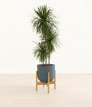 Load image into Gallery viewer, Iron Gray stand:bamboo
