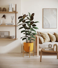 Load image into Gallery viewer, Sunset Orange stand:bamboo
