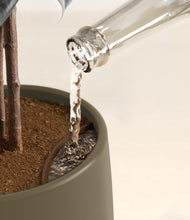 Load image into Gallery viewer, Olive stand:all

