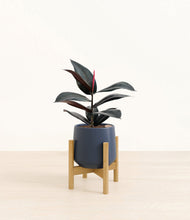 Load image into Gallery viewer, Deep Navy stand:bamboo
