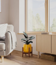 Load image into Gallery viewer, Mustard stand:walnut
