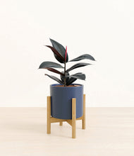 Load image into Gallery viewer, Deep Navy stand:bamboo

