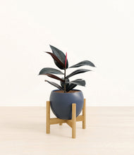 Load image into Gallery viewer, Deep Navy stand:bamboo
