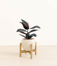 Load image into Gallery viewer, Shiny EggWhite stand:bamboo
