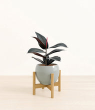 Load image into Gallery viewer, Deep Ocean stand:bamboo
