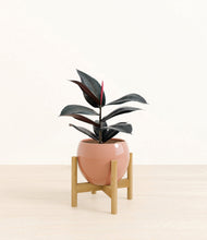 Load image into Gallery viewer, Calm Rose stand:bamboo
