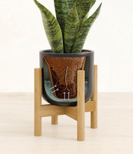 Load image into Gallery viewer, Stone Black stand:bamboo
