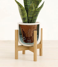 Load image into Gallery viewer, Cotton White stand:bamboo
