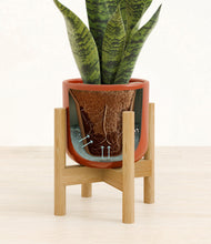 Load image into Gallery viewer, Glossy Red stand:bamboo
