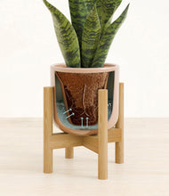 Load image into Gallery viewer, Glossy Pink stand:bamboo
