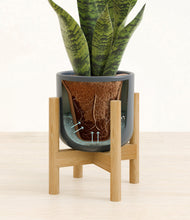 Load image into Gallery viewer, Iron Gray stand:bamboo
