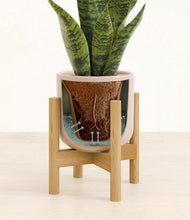 Load image into Gallery viewer, Sandy Pink stand:bamboo
