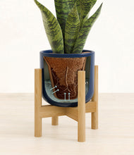 Load image into Gallery viewer, Twilight Blue stand:bamboo
