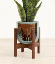 Load image into Gallery viewer, Reactive Aqua stand:walnut
