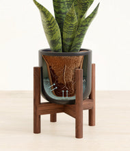 Load image into Gallery viewer, Stone Black stand:walnut
