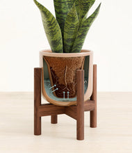 Load image into Gallery viewer, Glossy Pink stand:walnut

