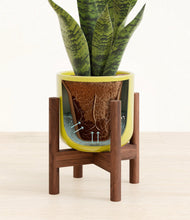 Load image into Gallery viewer, Key Lime Yellow stand:walnut
