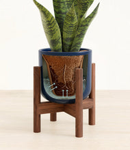 Load image into Gallery viewer, Twilight Blue stand:walnut

