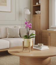 Load image into Gallery viewer, Almond Green stand:bamboo
