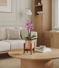 Load image into Gallery viewer, Calm Rose stand:walnut
