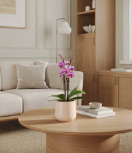 Load image into Gallery viewer, Gentle Pink

