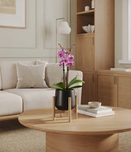 Load image into Gallery viewer, Black stand:bamboo
