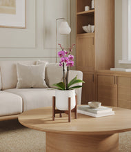 Load image into Gallery viewer, White stand:walnut
