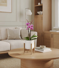 Load image into Gallery viewer, White stand:bamboo
