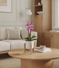 Load image into Gallery viewer, Cotton White stand:bamboo

