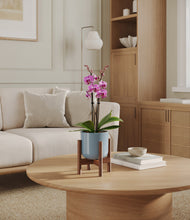 Load image into Gallery viewer, Misty Blue stand:walnut
