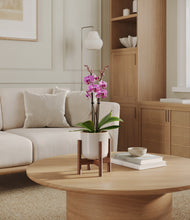 Load image into Gallery viewer, Snowdrift White stand:walnut
