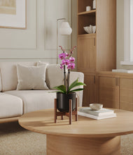 Load image into Gallery viewer, Stone Black stand:walnut
