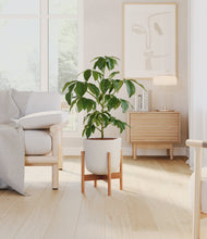 Load image into Gallery viewer, Natural Bamboo stand:bamboo
