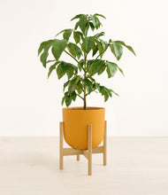 Load image into Gallery viewer, Sunset Orange stand:bamboo
