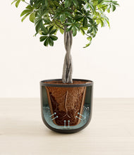 Load image into Gallery viewer, Stone Black stand:all
