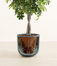 Load image into Gallery viewer, Iron Gray stand:all
