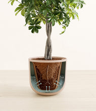 Load image into Gallery viewer, Sandy Pink stand:all
