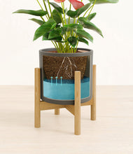 Load image into Gallery viewer, Dark Olive stand:bamboo
