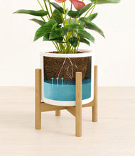 Load image into Gallery viewer, White stand:bamboo
