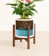 Load image into Gallery viewer, White stand:walnut
