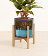 Load image into Gallery viewer, Deep Navy stand:bamboo
