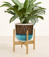 Load image into Gallery viewer, Natural Bamboo stand:bamboo
