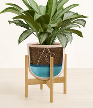 Load image into Gallery viewer, Sandy Pink stand:bamboo
