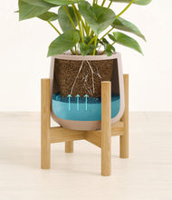 Load image into Gallery viewer, Eternal Gray stand:bamboo
