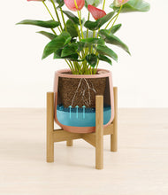 Load image into Gallery viewer, Calm Rose stand:bamboo
