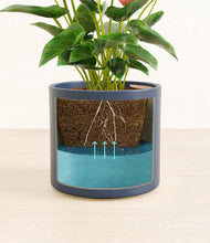 Load image into Gallery viewer, Deep Navy
